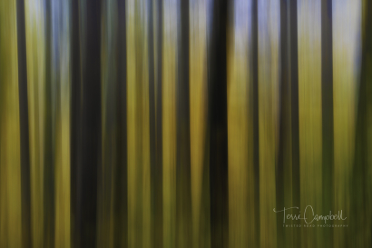 Nature's Barcode