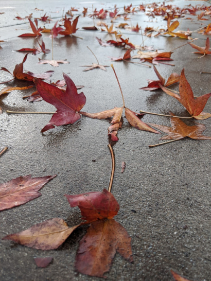Don't Leaf Me Alone