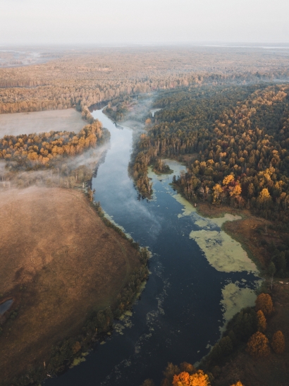 Autumn fog