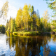 Autumn river in the taiga