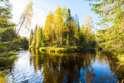 Autumn river in the taiga