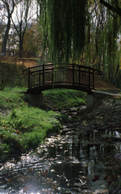 Almost like Monet's