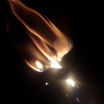 star-gazer