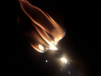 Star Gazer