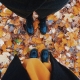 2020fallcontest