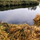 Golden River Nature Russia