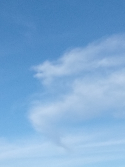 What is that?