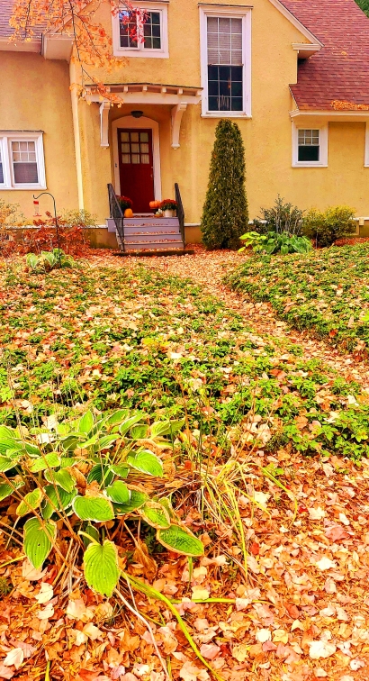 Autumn Walkways