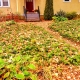 Autumn Walkways
