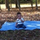 Fall Sun