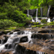 Virginia Hawkins Falls  