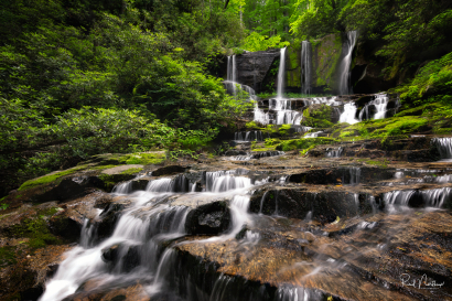 Virginia Hawkins Falls