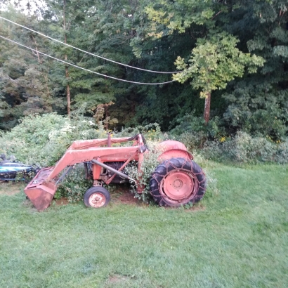 Tractor in vines