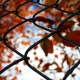 Fall Photos 