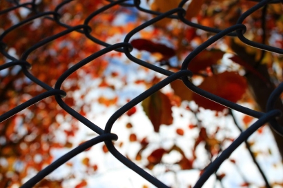 Fall Photos