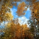 Autumn sky