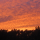 Fiery Sunset