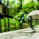 Lensball K9 Crystal Ball