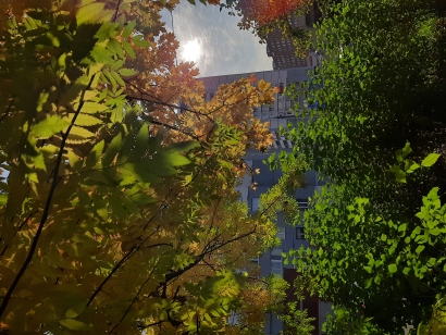 Autumn. September