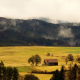 Distant farm.