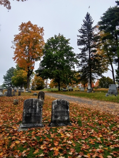Autumn Morning at Mount Hope C...