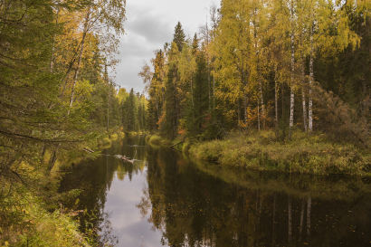 Mekhrenga river, Autumn.