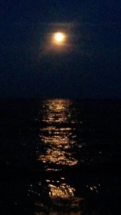 Moonlit Night