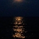 Moonlit Night