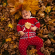 The first autumn 