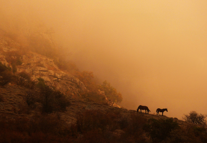 The color of autumn