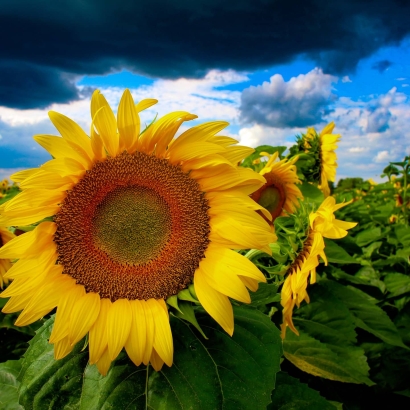 Sunshine & heavy clouds 
