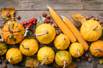Yellow Pumpkins.