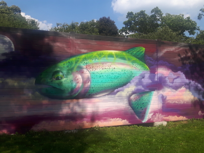 Fish