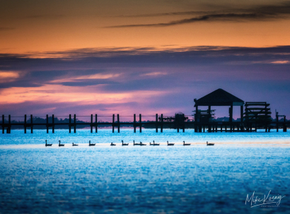 Outer Banks Ducks Sunset Sound...