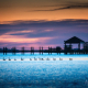 Outer Banks Ducks Sunset Sound Side