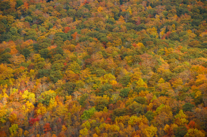 Blue Ridge Mountains
