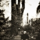 Alone in the garden