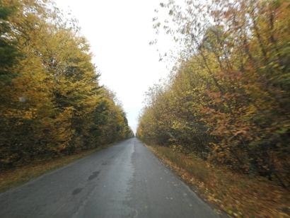 Road in autumn