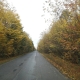 Road in autumn