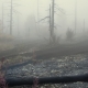 Fog