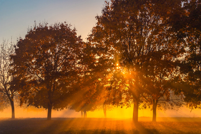 2020fallcontest 2  autumn fog