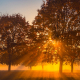 2020fallcontest 2  autumn fog