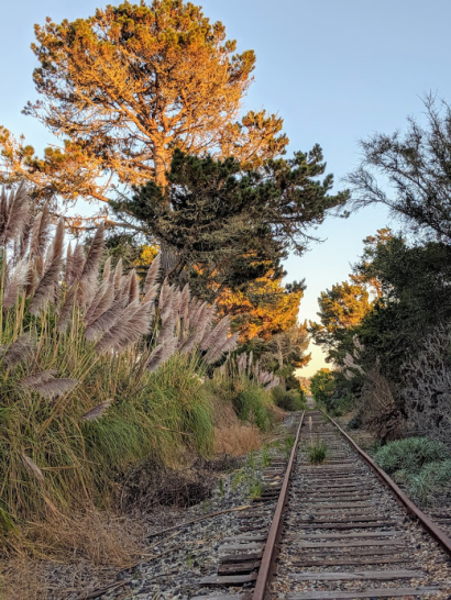 The Railroad Leads You Home